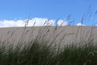 Sand