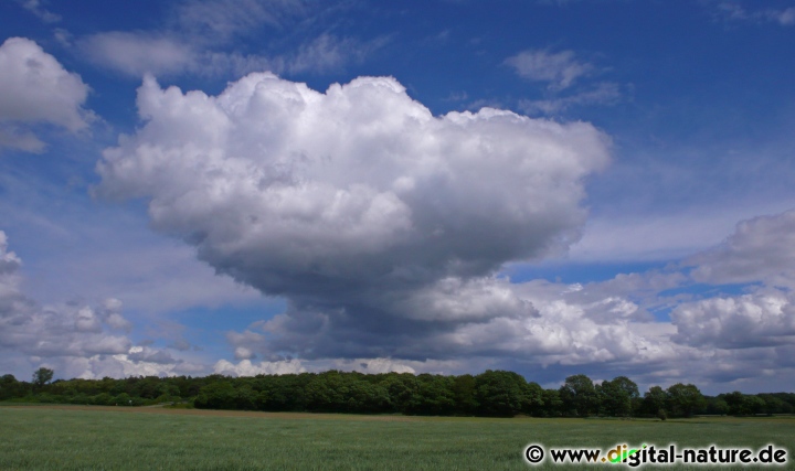 Wolkenbildung über dem Feld