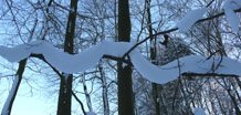 Naturkunst Schneeschlange