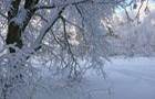 Winter im Deister