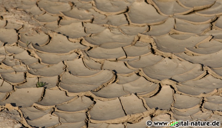 Trockenheit in der Sandgrube