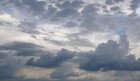 Bild Neun