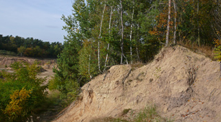 Sandgrube