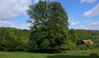 Bild Sieben