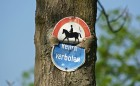 Bild Acht