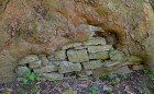 Bild Neun