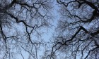 Bild Zwoelf