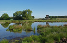 Meerbruchswiesen
