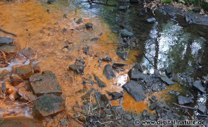 Eisenhydroxid färbt das Wasser rötlichbraun