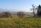 Bild Sechs