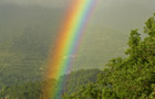 Bild Zwei
