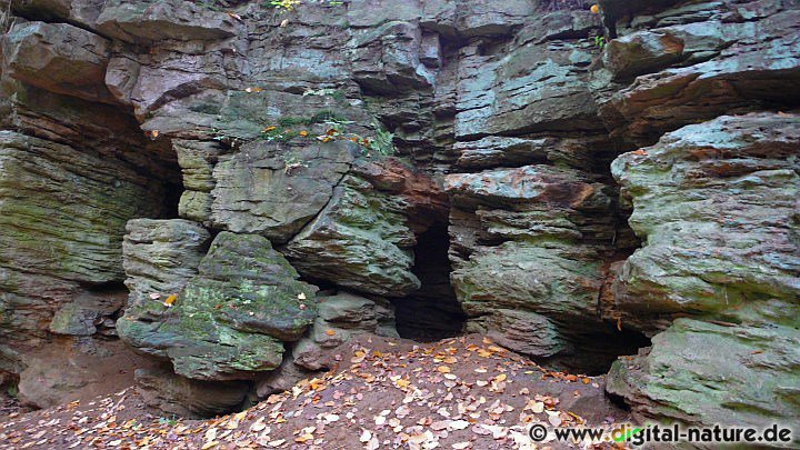 Steinkohle-Stollen und Deister Sandstein