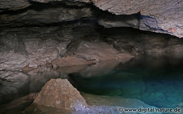 Die Marthahöhle liegt im Naturschutzgebiet Hainholz