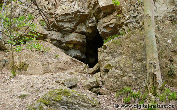 Alte Höhle im aufgelassenen alten Steinbruch