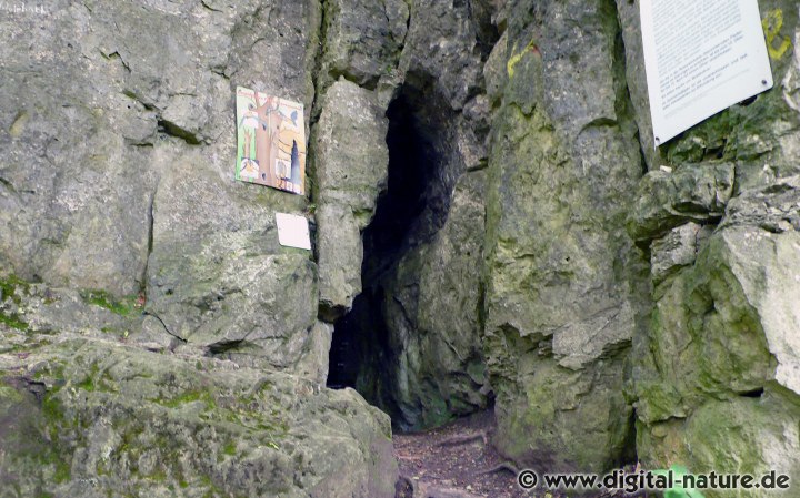 Die Rothesteinhöhle im Ith