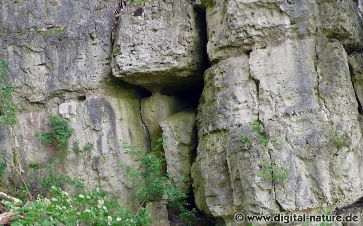 Höhle in der Felswand