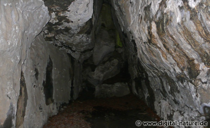 Jagd- und Wohnstation Nasensteinhöhle