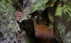 Bild Sieben
