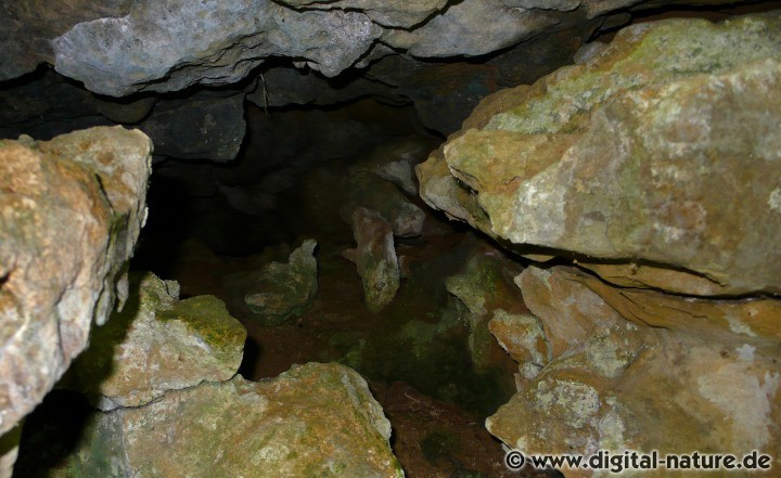 Zwergenlöcher und Bärbelshöhle