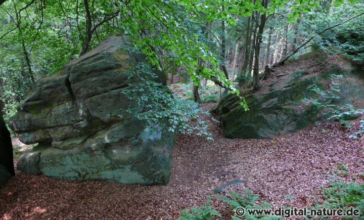 Die natürlichen Felsen der Festung