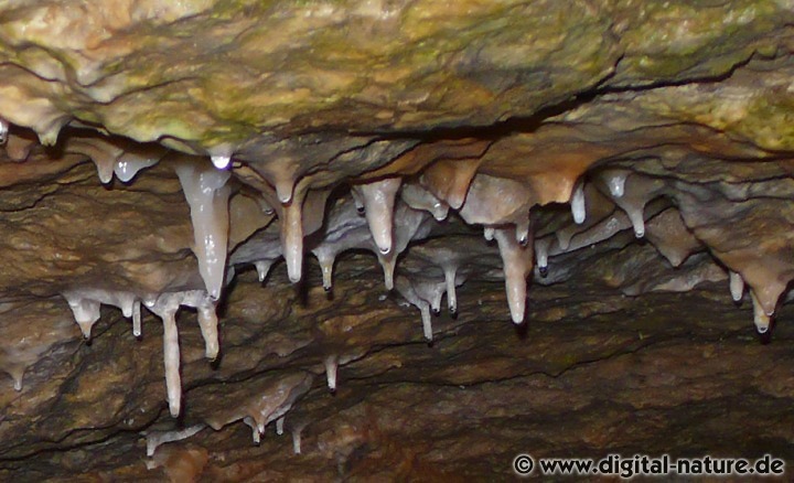 Stalaktiten im Hauptraum der Schillathöhle