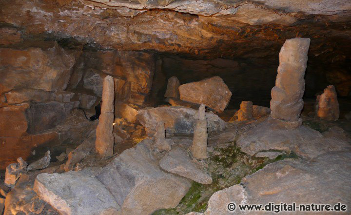Bei Hessisch Oldendorf wurde eine Tropfsteinhöhle entdeckt