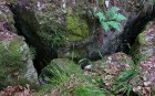 Bild Sieben