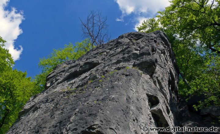 Mittlerer und südlicher Ithkamm