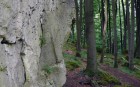 Bild Acht