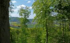 Bild Zwei