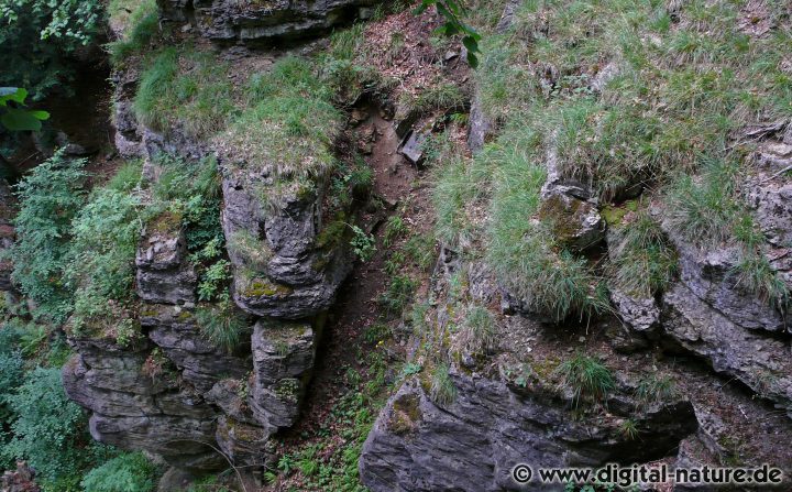 Kalksteinfelsen bei der Südwehe