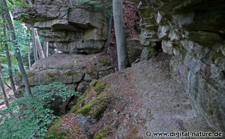 30 Meter hohe Felswand