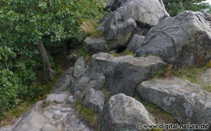 Löbbeckestieg auf dem Kamm der Teufelsmauer