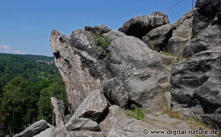 Am Ortsrand von Blankenburg liegt der Großvaterfelsen