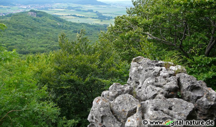 Westlicher Eckturm des Kansteins