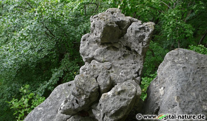 Schichtkamm vom Selter zum Duinger
