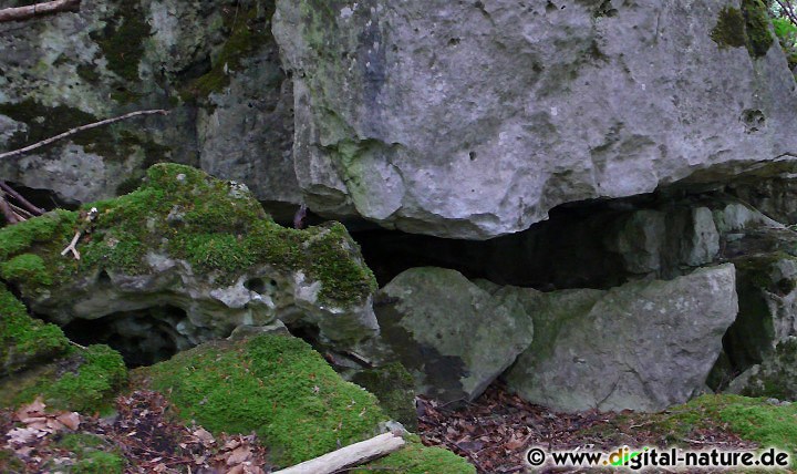 Urwüchsige Natur an den Hängen