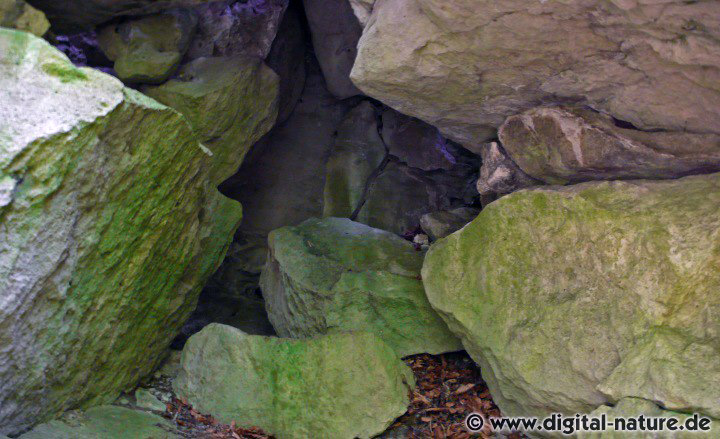 Blick ins Innere