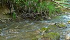 Bild Sieben