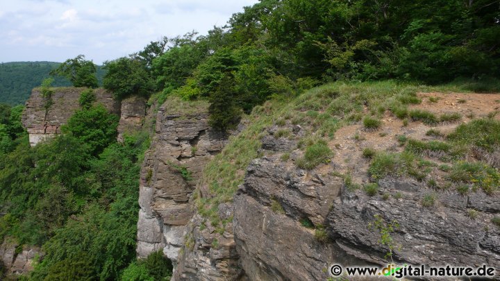 Der Hohenstein wurde bereits 1930 unter Schutz gestellt