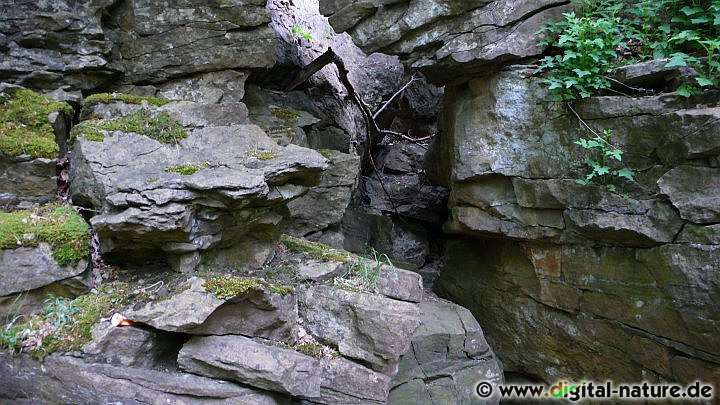 Felssteilwand aus Kalkstein