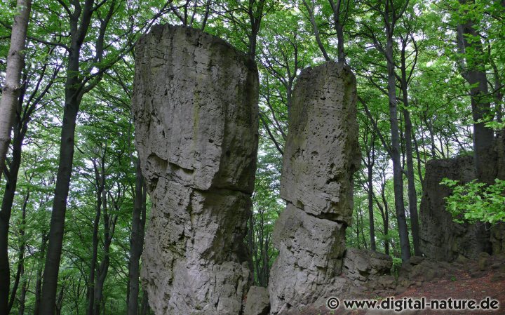 Adam- und Eva-Klippen im nördlichen Ith