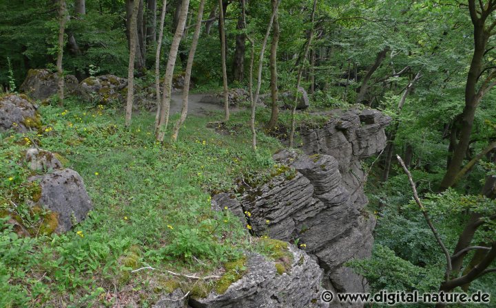 Ithkopf: Korallenoolith des oberen Jura