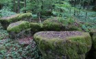 Bild Sieben