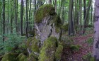 Bild Drei