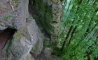 Bild Zwei