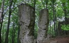 Bild Sechs