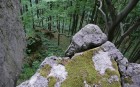 Bild Acht