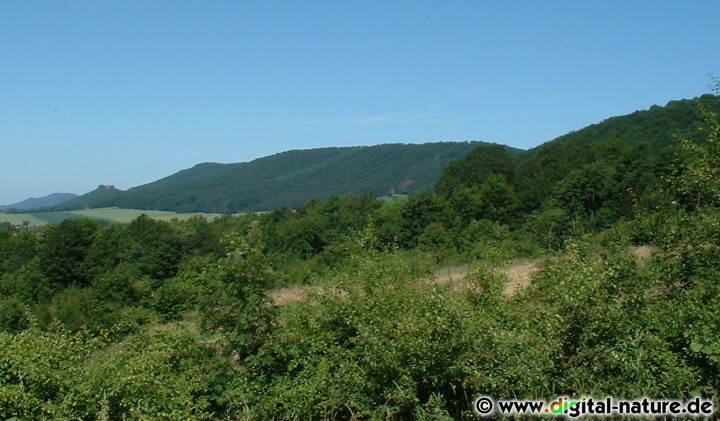 Aussicht bei Segelhorst auf das Wesergebirge