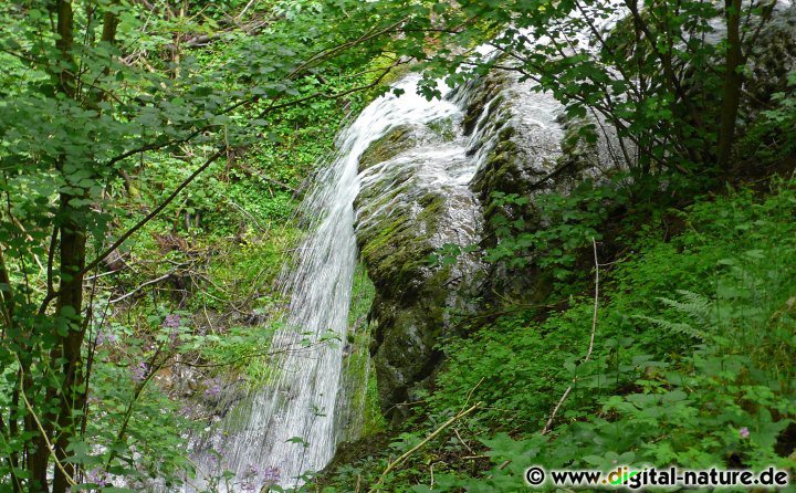 Höchster natürlicher Wasserfall Niedersachsens